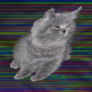 Meet your Posher, Jackson